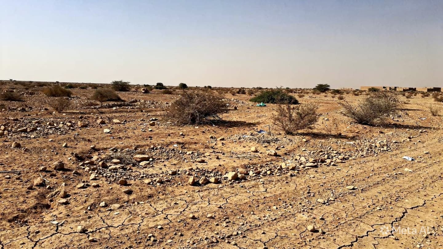 Tragic Blast In Hodeidah: Two Children Killed By Exploding Landmine In Rural Yemen Today