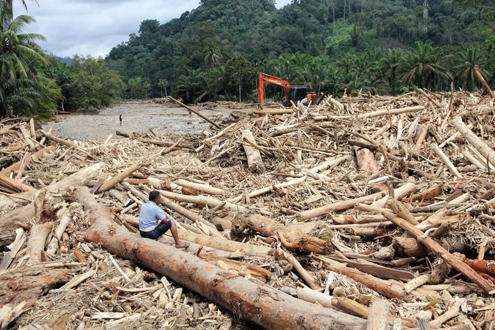 Logs Washed Ashore After Flash Floods in Aek Garoga, North Sumatra