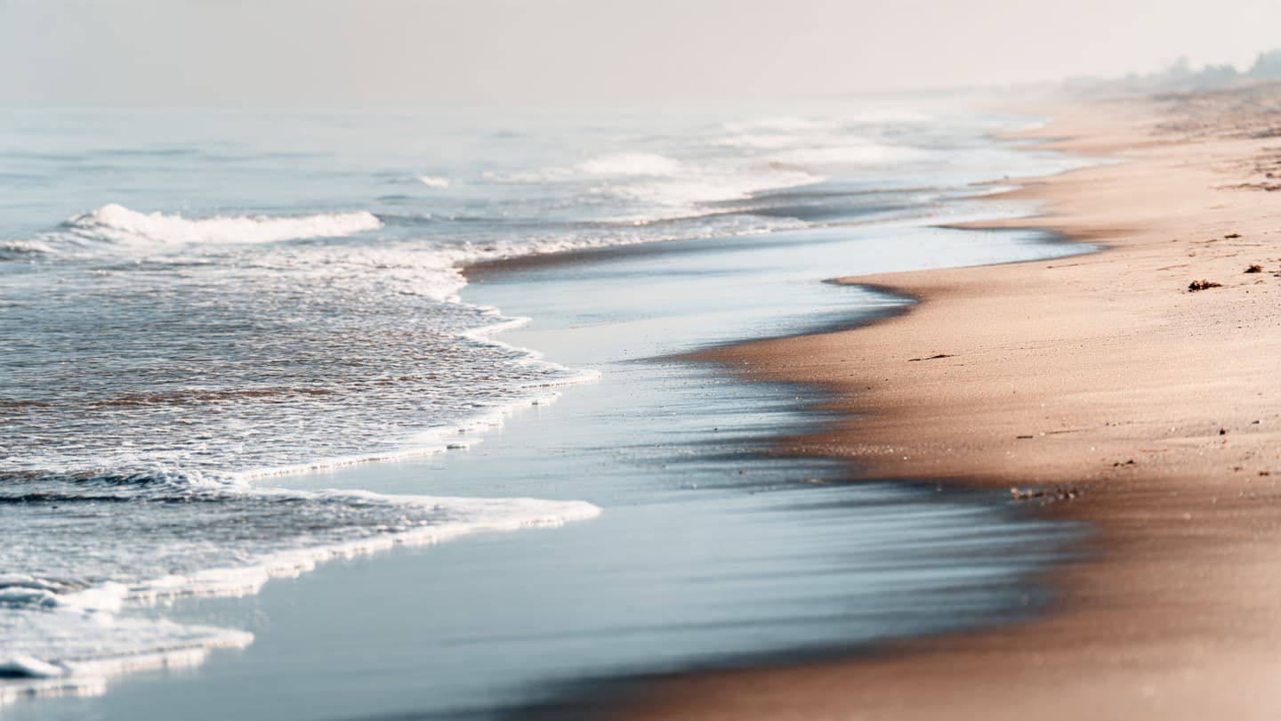 Between curiosity and danger, quicksand becomes a lesson carried home