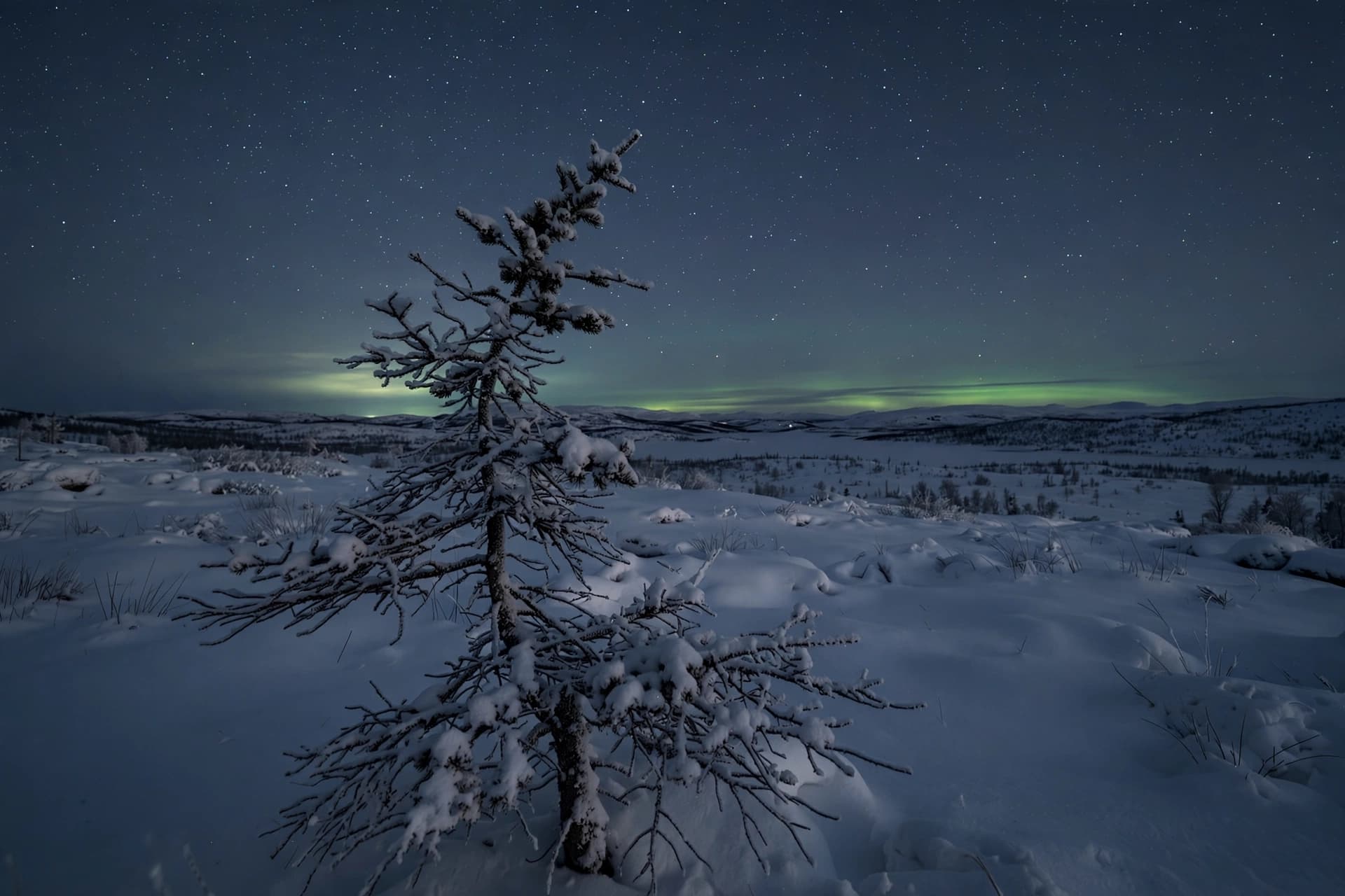 When the Aurora Reaches South: A Forecast for the Curious