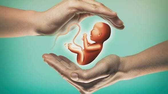 India's Fertility Rate Falls Below Replacement Level for the First Time, Government Report Reveals