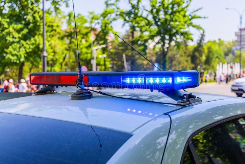 Streets Paused in Thought: An Attempted Murder and the Search That Followed
