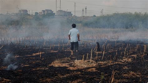 European Farmers Face “Unprecedented Crisis” After Successive Heatwaves
