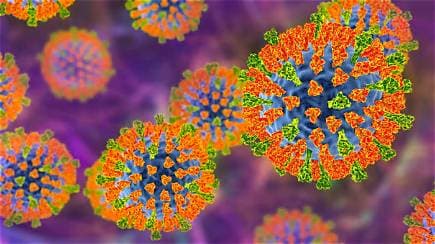 Pennsylvania’s Measles Outbreak Is the Largest in Decades in the US