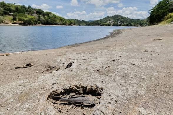US Declares Drought Disaster for Parts of Puerto Rico as Dry Conditions Persist