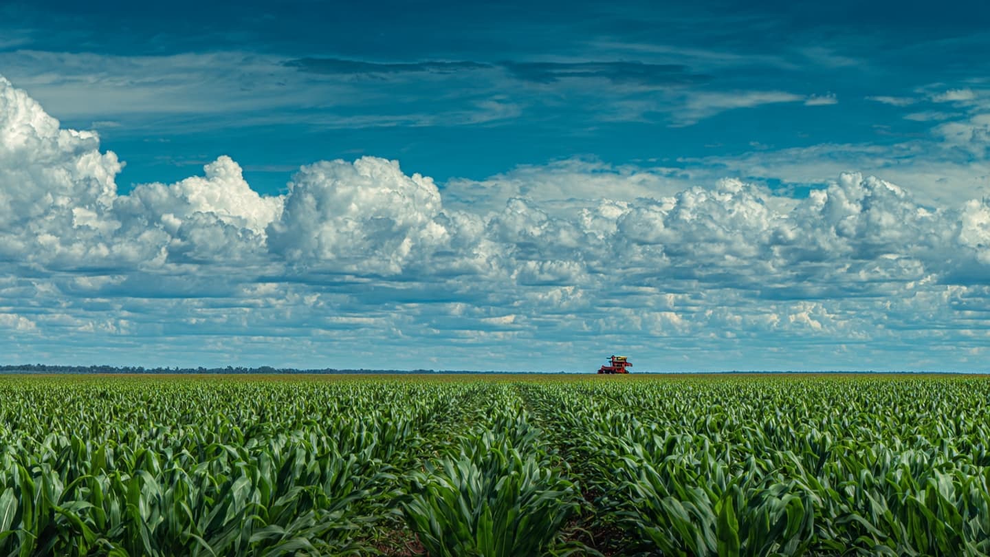 Argentina’s Corn Finds New Routes Across Global Markets as War and Heat Reshape International Grain Trade