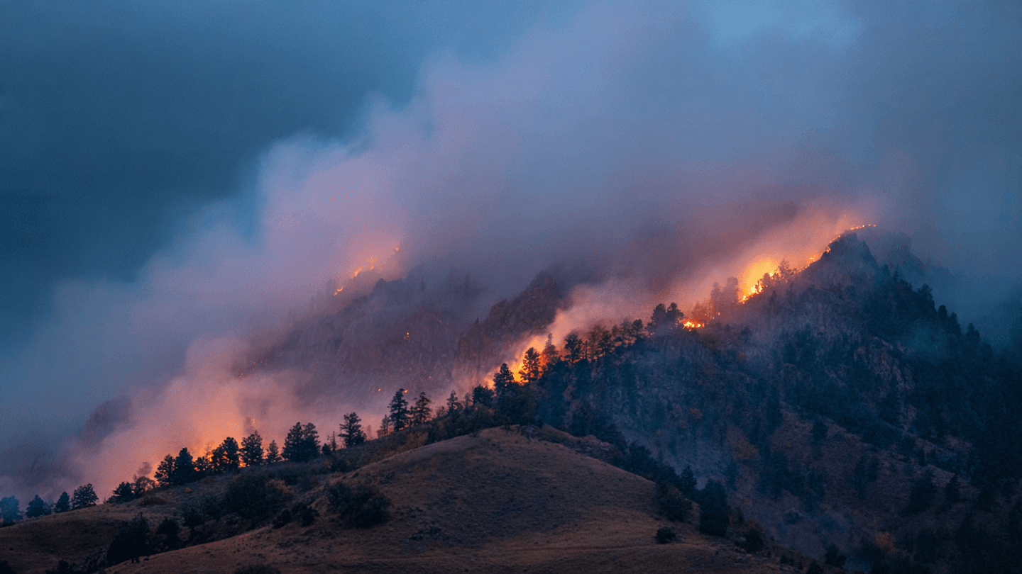 . When the Summer Wind Carries Smoke: Quiet Musings Near the Threatened Ridge