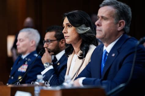 Tulsi Gabbard’s Brother Accused of Trying to Lure Children to His Hawaii Hotel Room With Cash and Gum: Police