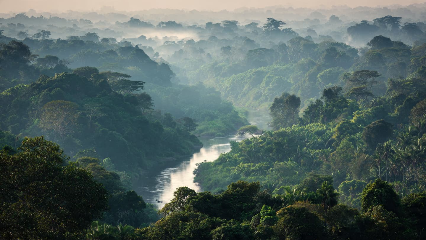 Between the Wild and the Familiar: How an Outbreak Revives Questions About Human Contact with Nature