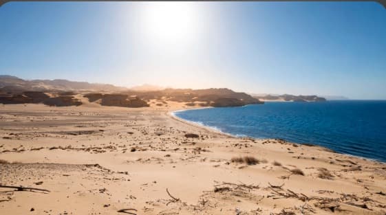 Where the Desert Coast Meets the Deep Sea, a Pale Vessel Founders in Silence
