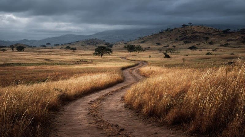 Through the Deep Shadows of Manzini, a Silent Search Navigates the Anxious Valleys