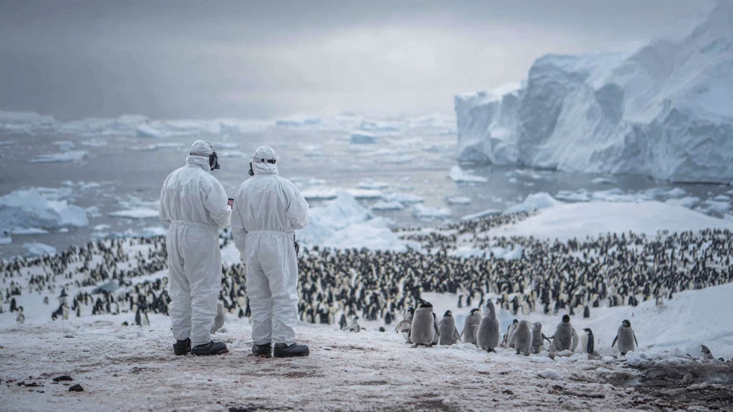 Even Earth's Last Wilderness Cannot Remain Entirely Isolated Forever 