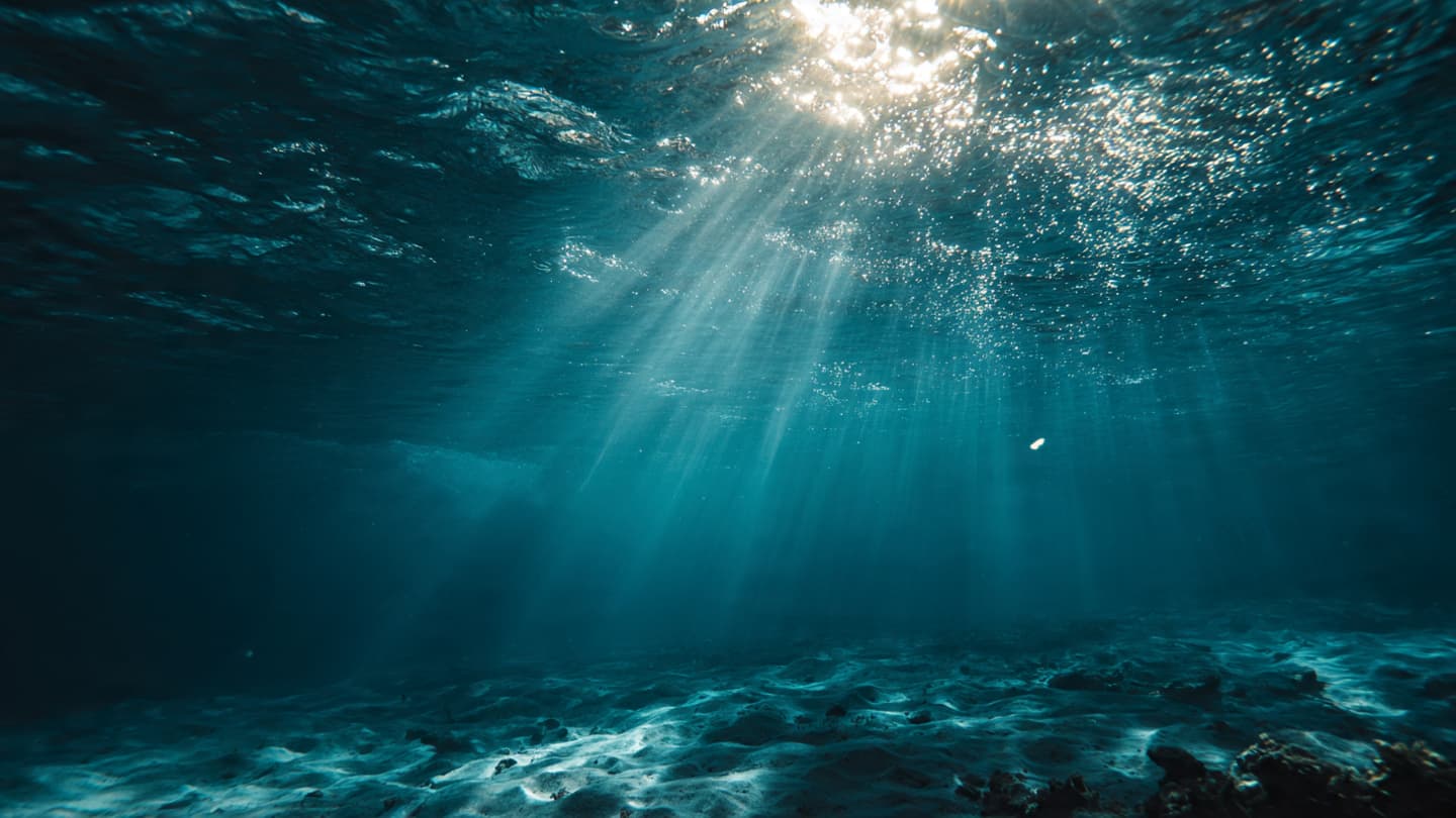 The Oceans Carry a Warning Beyond the Horizon