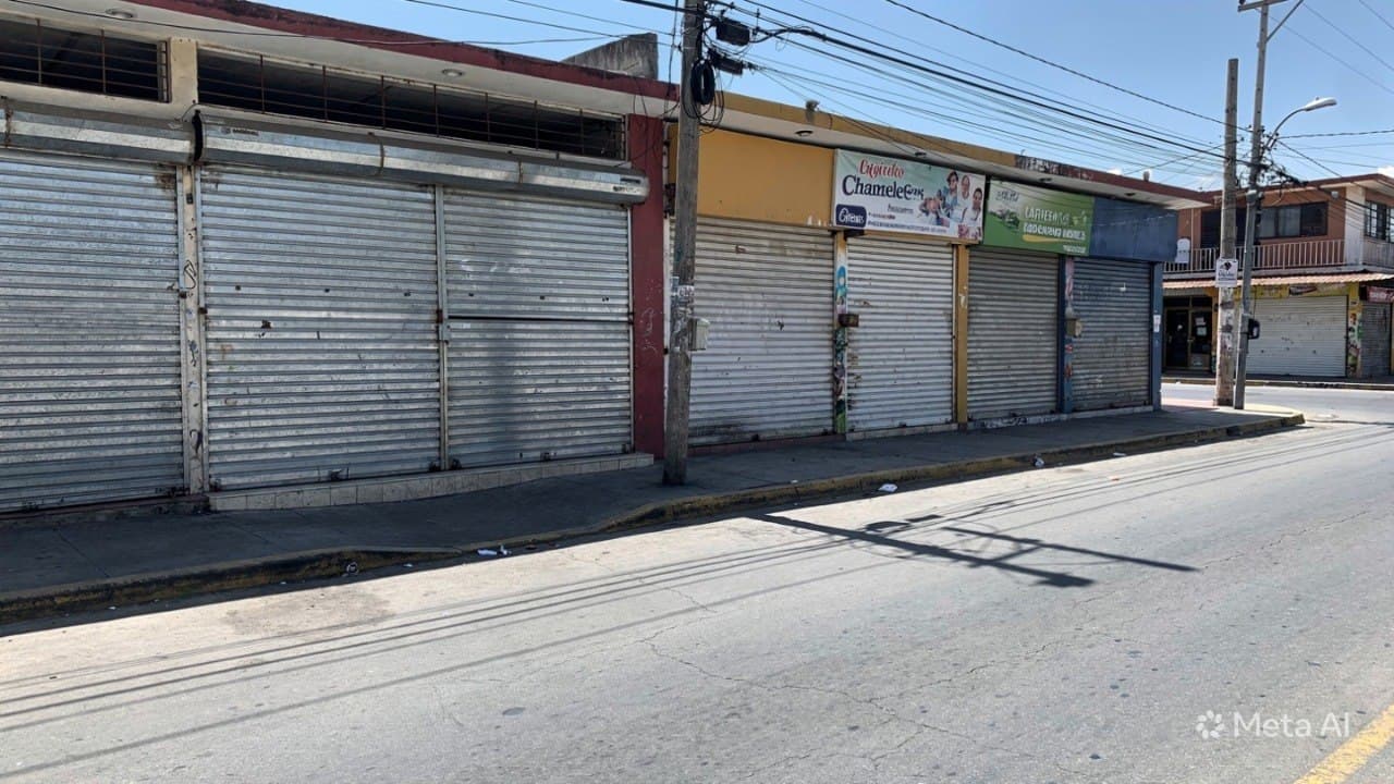 When the Streets Are Reclaimed: Reflections on Order in the Chamelecón Dust