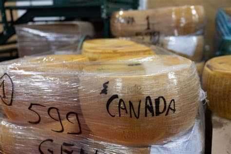 Extreme heat threatens Italy's Parmesan heartland