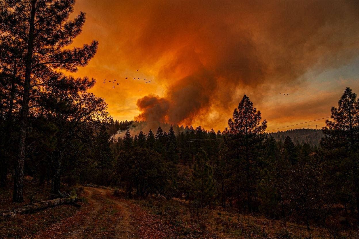  A Nation Under Smoke: Canada’s Battle Against Wildfires 