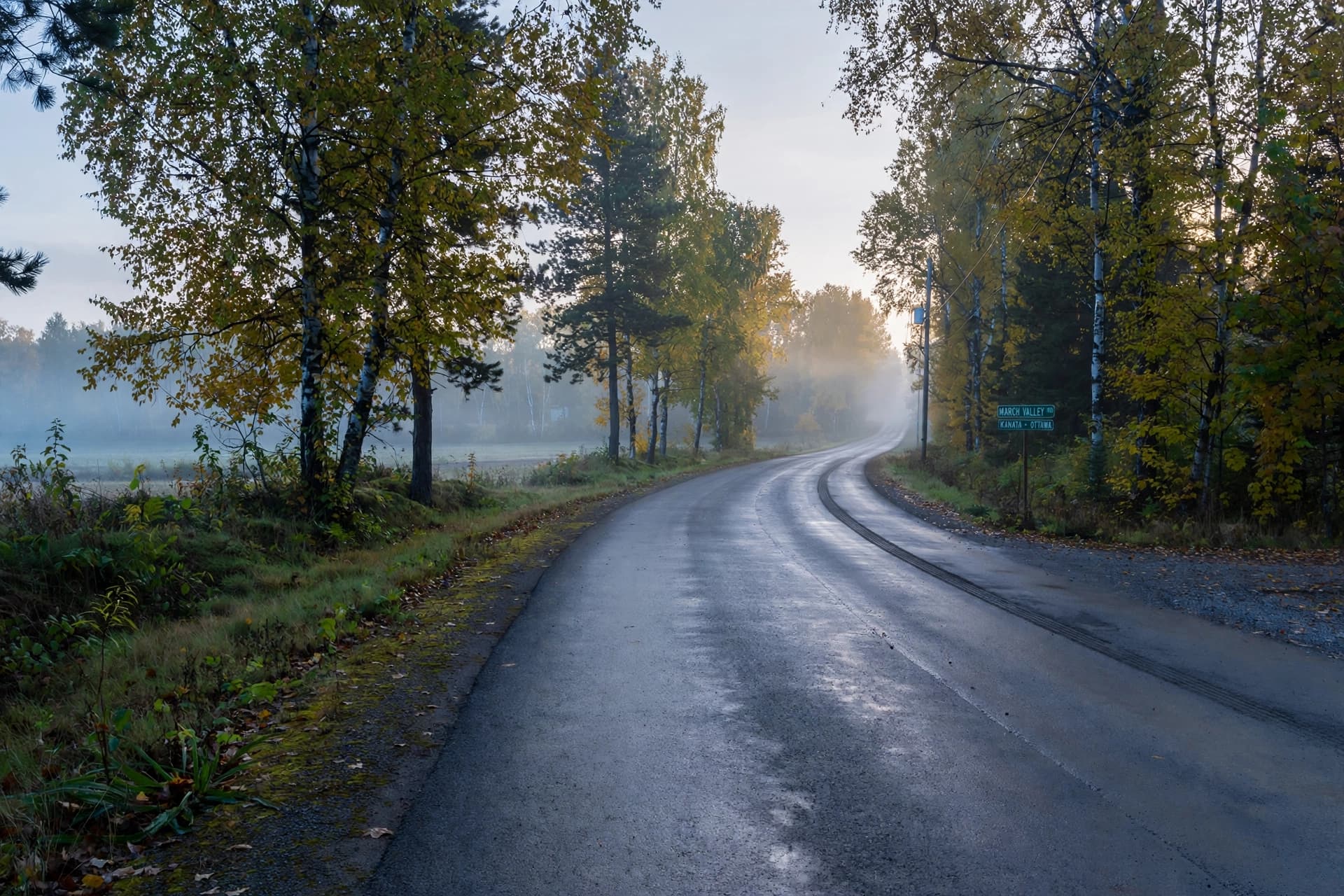 When the Road Remembers: The March Valley Crash