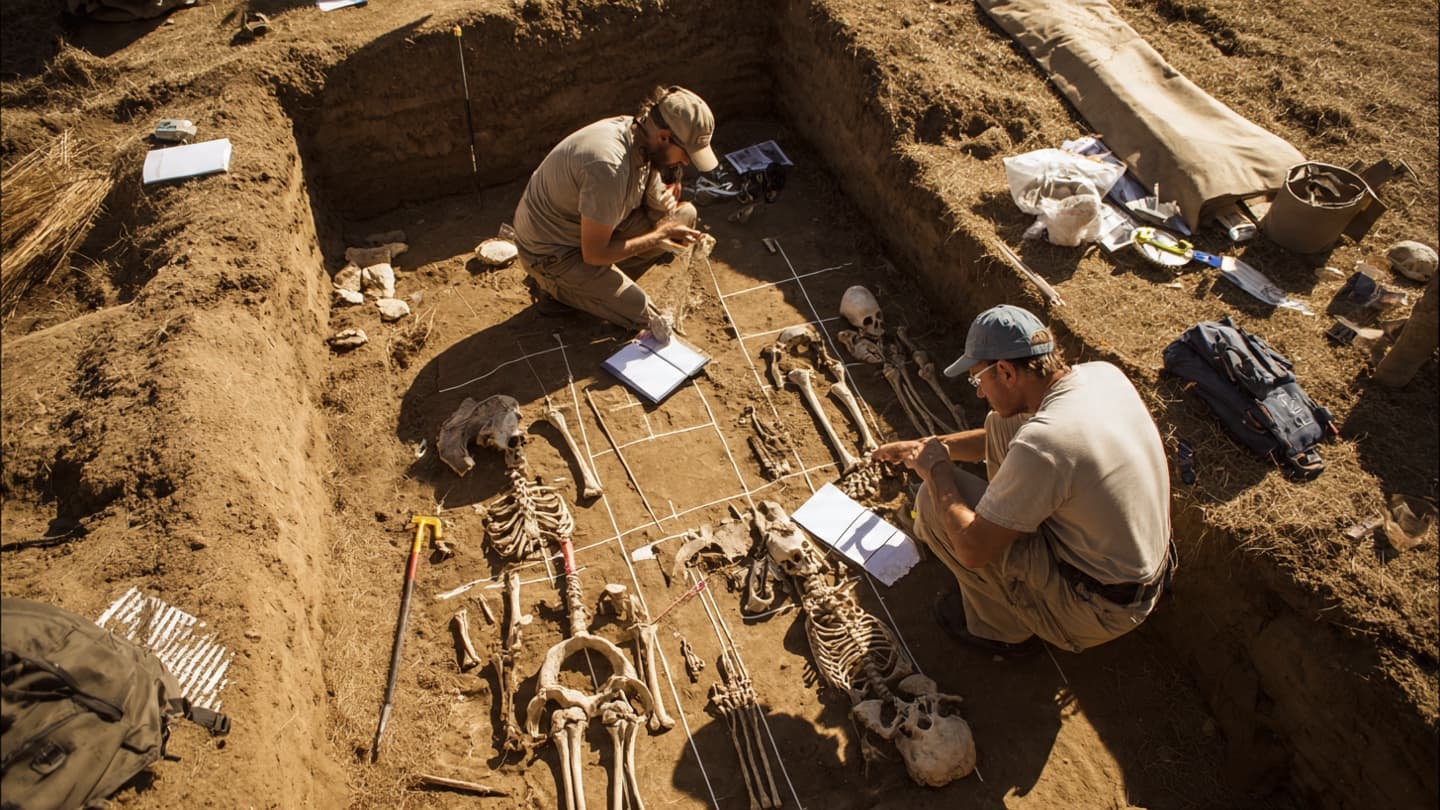 A Tooth Preserves the Echo of an Ancient Epidemic