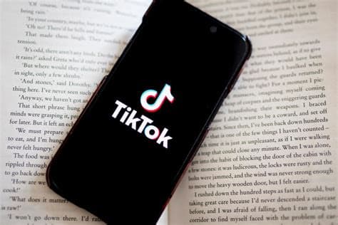 Senegal Jails Three TikTok Influencers for Insulting President