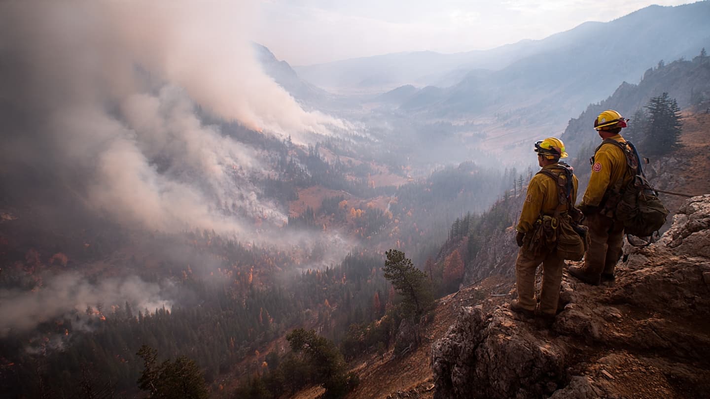Across the Fading Horizon: Wildfire, Waiting, and the Fragile Rhythm of Summer
