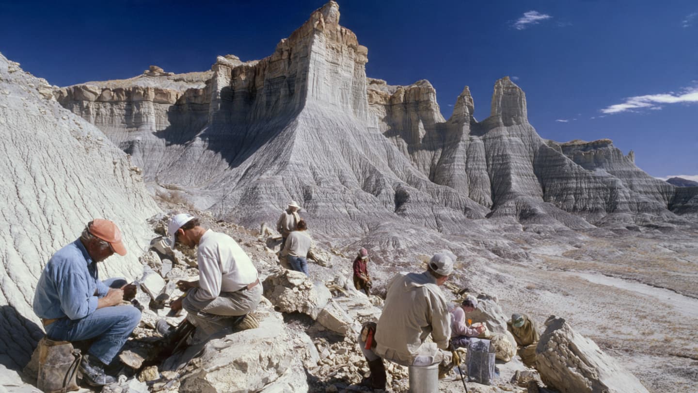 A Desert Preserved the Memory of an Ancient Sea