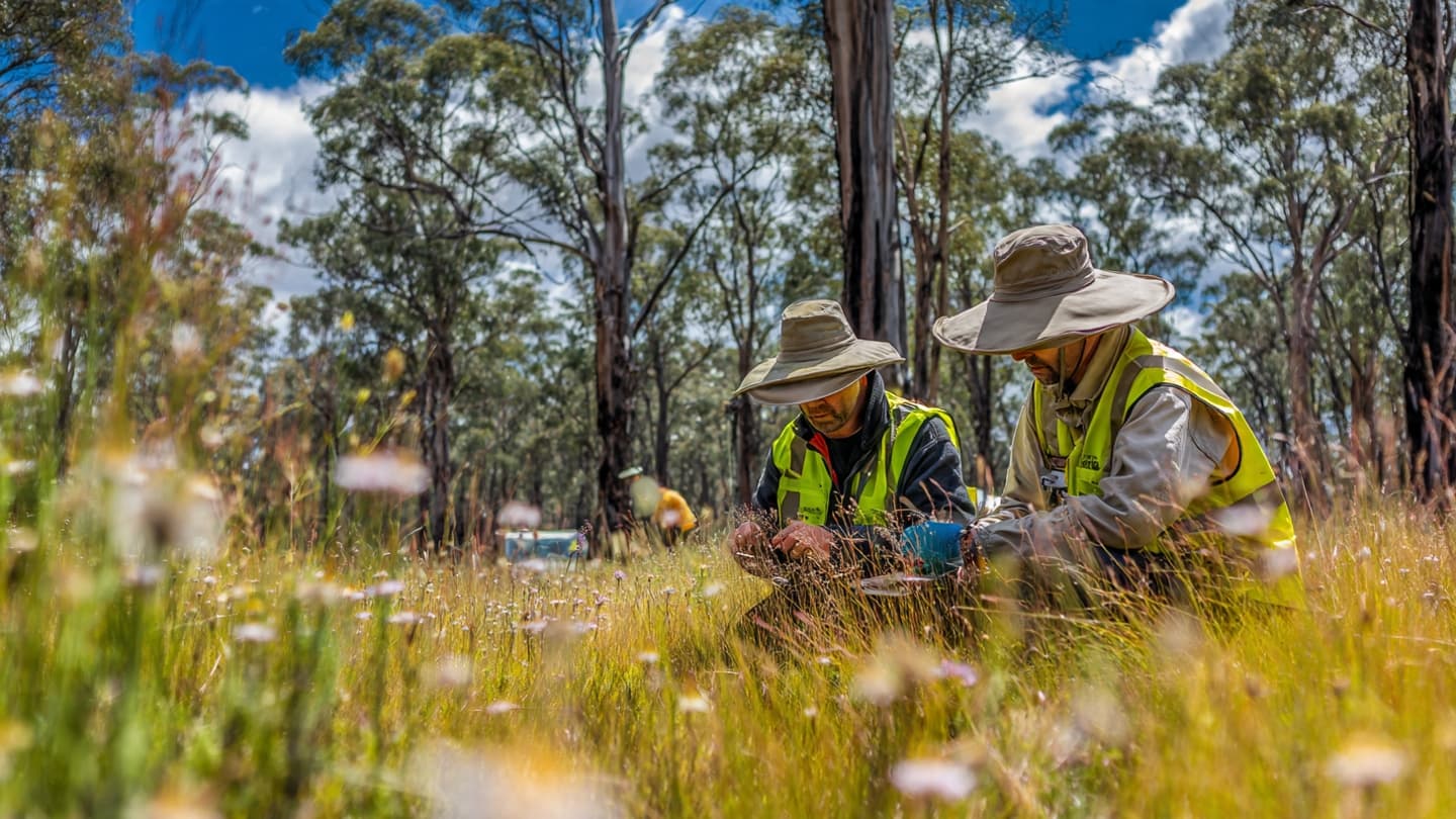 Australia Considers a Larger Investment Against a Small but Persistent Threat
