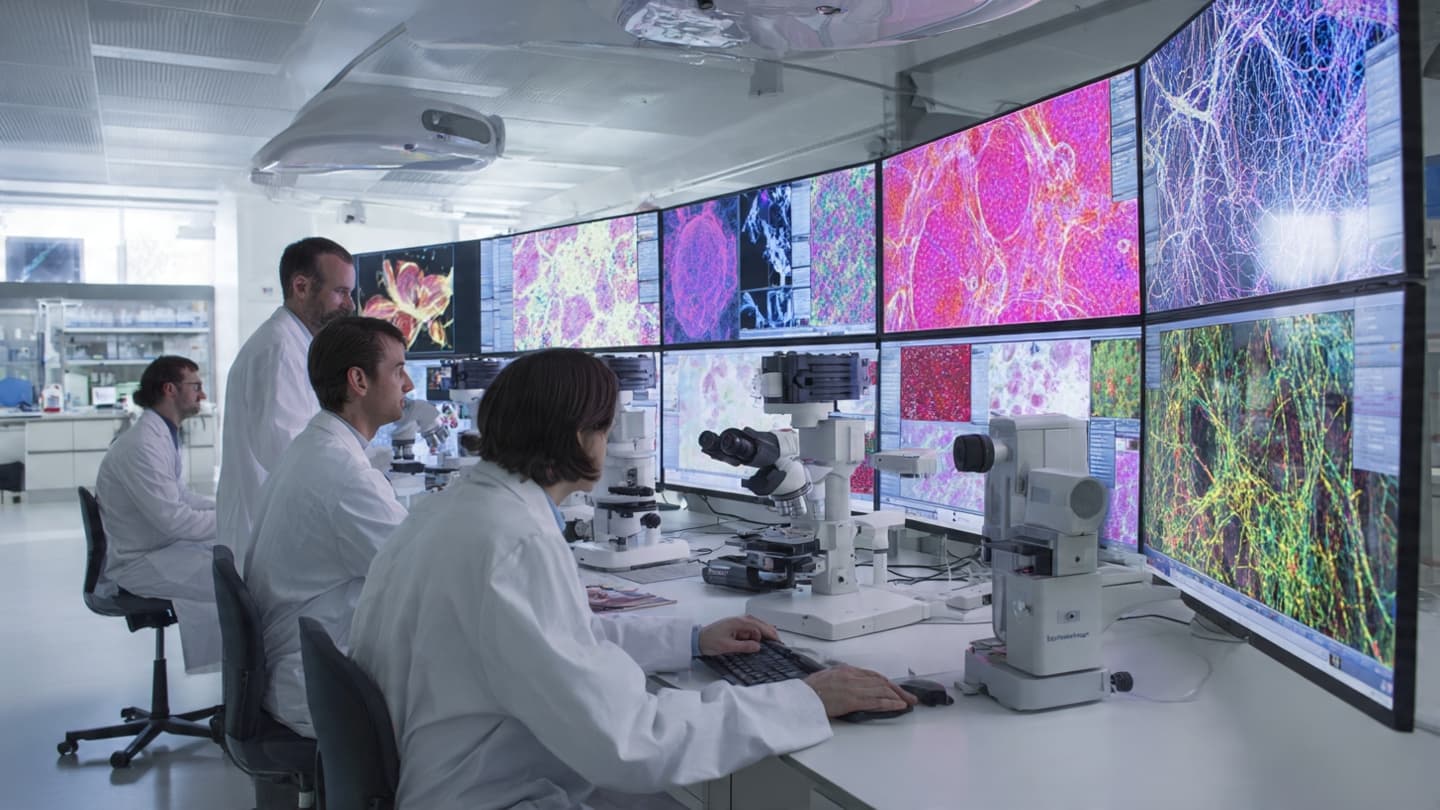 What Can Machines Help Us See That Human Eyes Cannot?