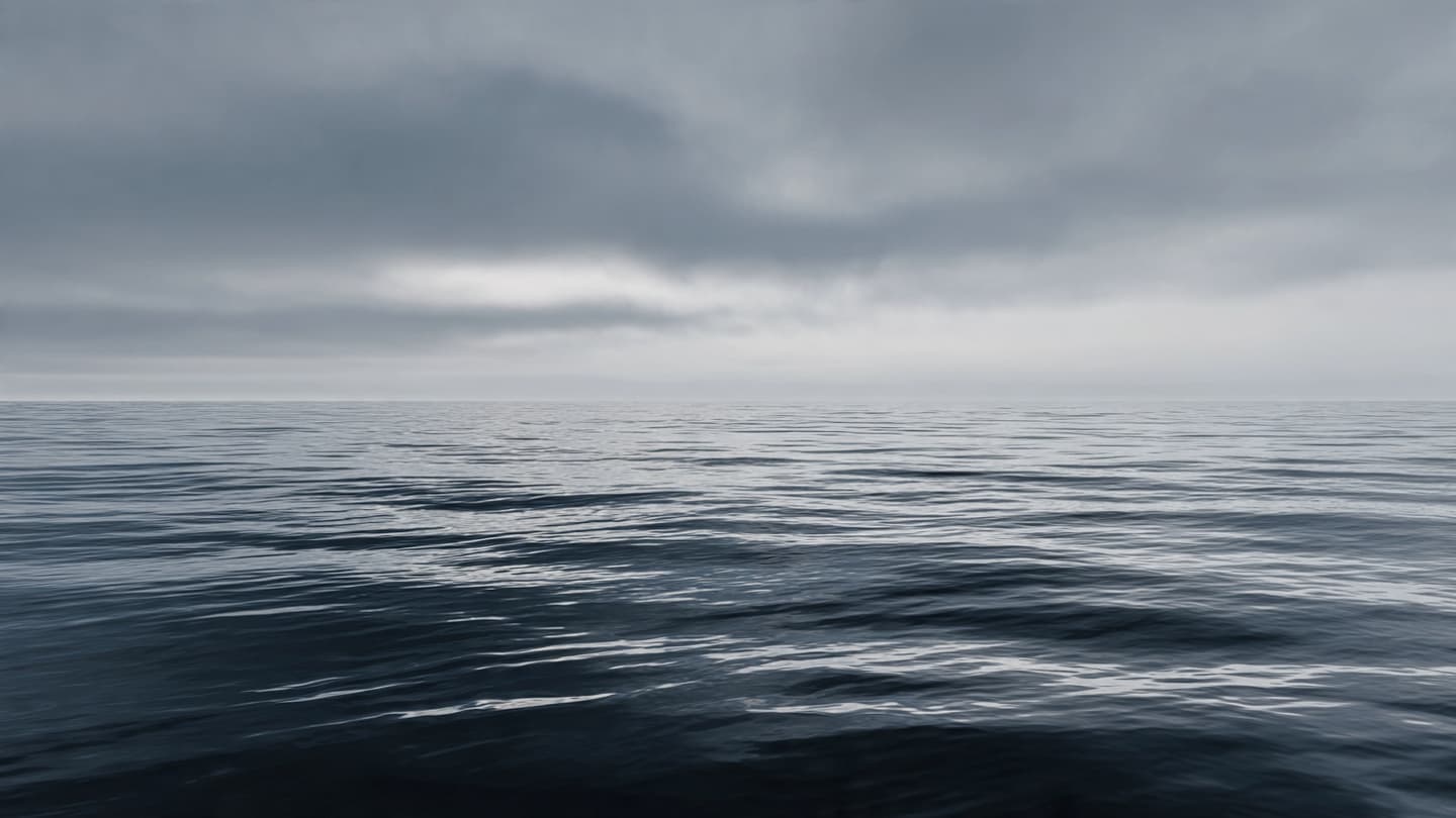 The Rough Sea and the Overloaded Vessel: Reflecting on a Tragedy Off Anjouan