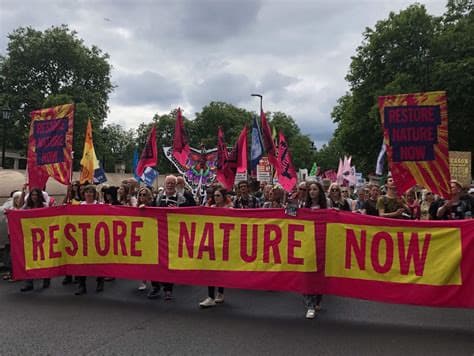 Plan to restore nature in England by 2030 criticised as “completely insufficient”