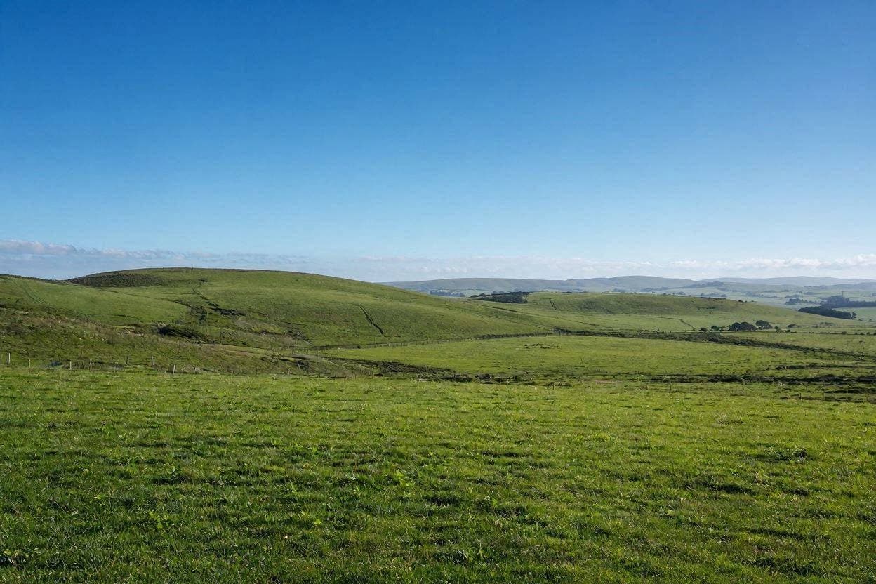 When Carbon Credits Clash with Agricultural Heritage