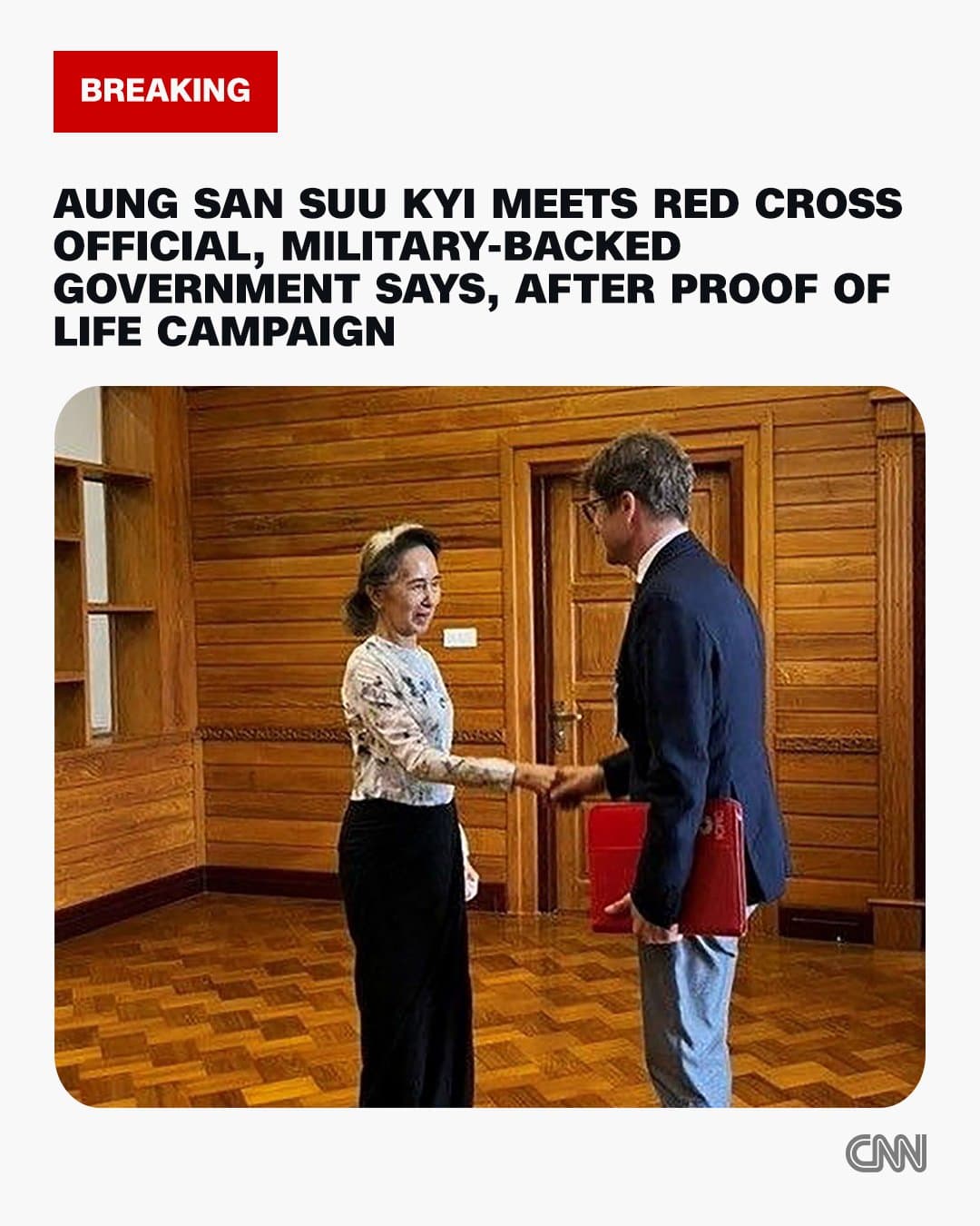Myanmar's Aung San Suu Kyi Meets Red Cross Representative in Rare Public Engagement
