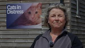 Cat charity says demand for help “never greater”
