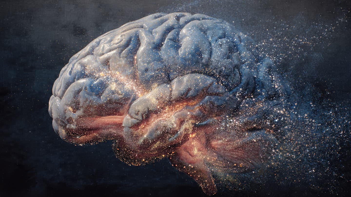 Consciousness May Be Far Larger Than the Brain Alone Can Explain
