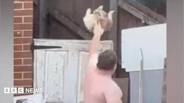 Man banned from owning animals for 10 years after he was caught throwing underweight dog over a fence