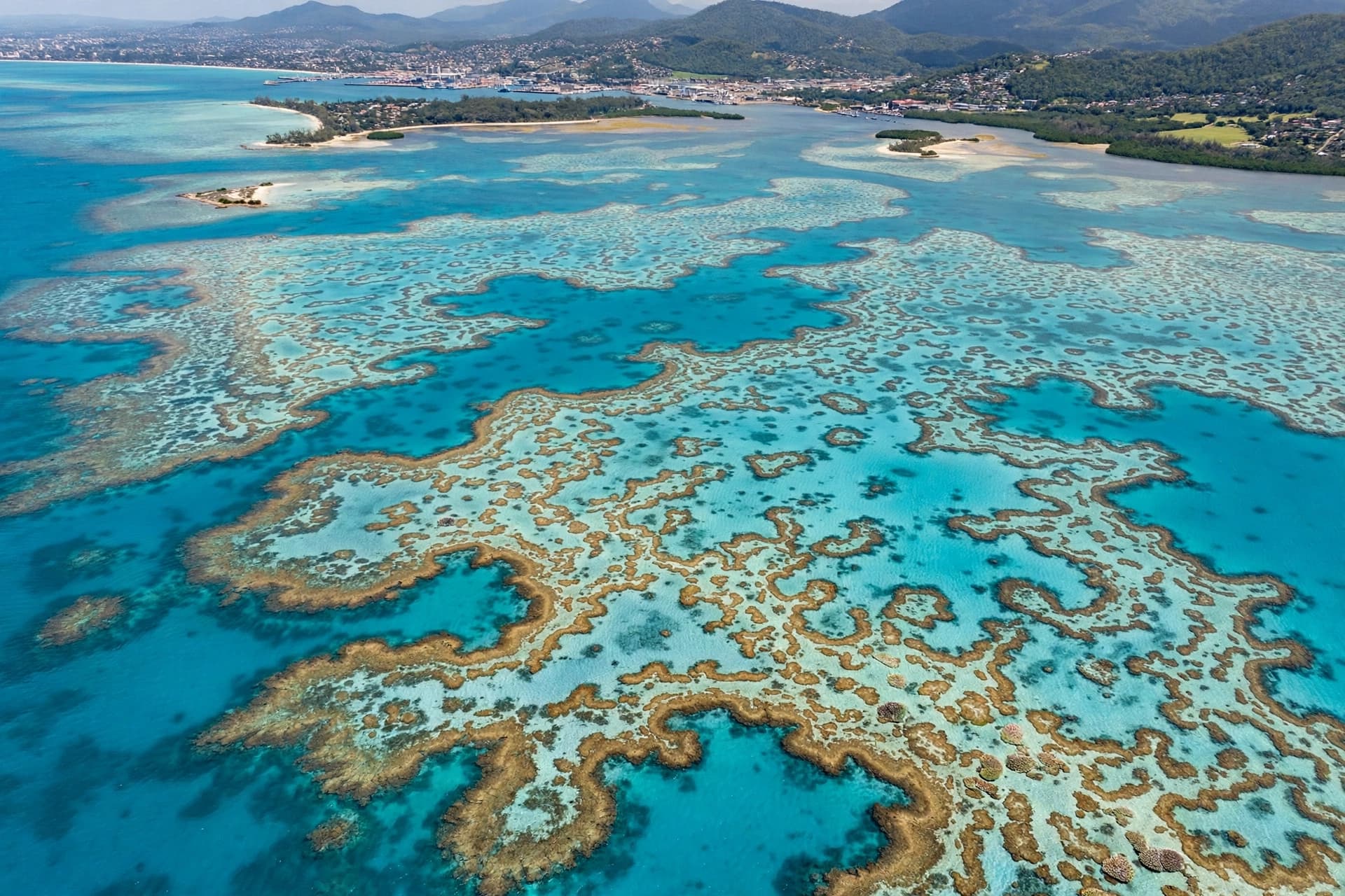 The reef is the city's greatest asset, and its protection is not guaranteed