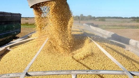 Is the EU authorising new GMOs?