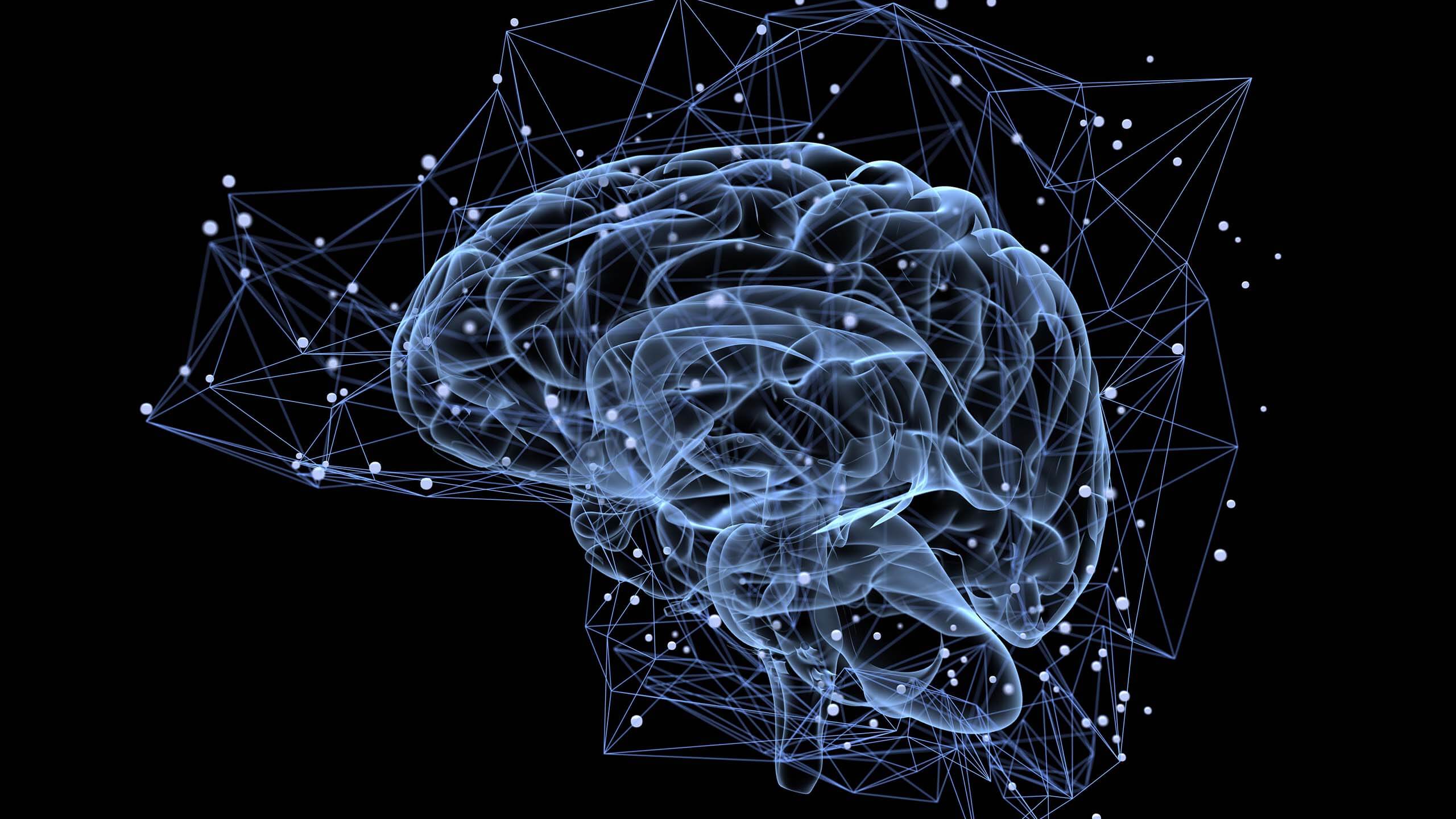 The Human Brain: Unlocking the Final Frontier of Neuroscience