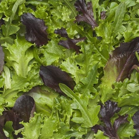 Lettuce From Taylor Farms Tests Positive for US Parasite Outbreak