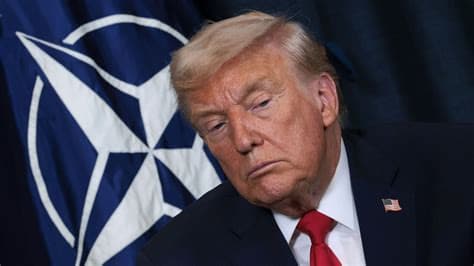 Canadian Veterans Condemn Trump’s NATO Remarks, Saying They Dishonour Military Sacrifice