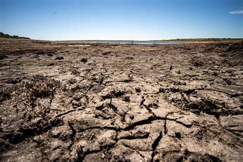 Europe’s Killer Heat This Summer Claims 50,000 Lives; Climate Change Blamed for Two-Thirds