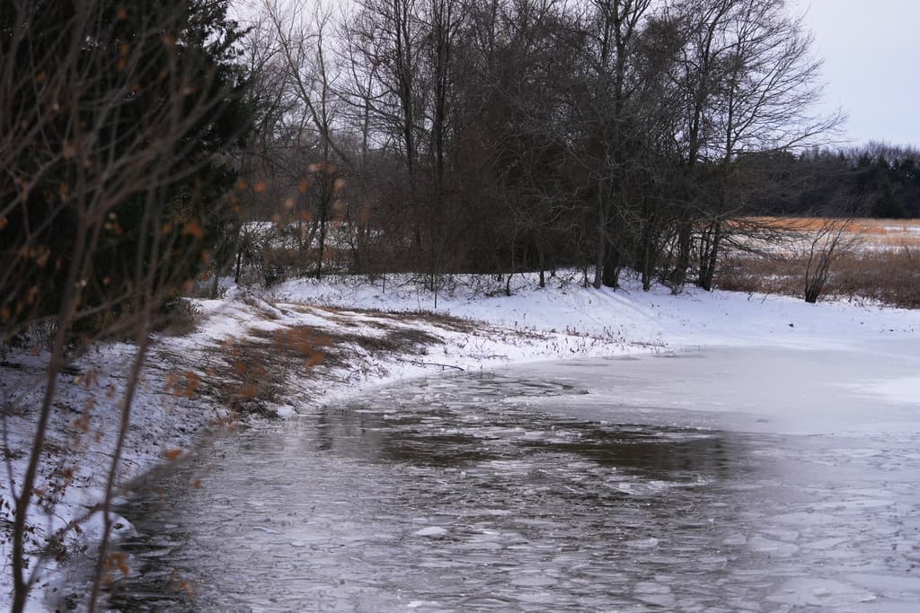 Mother Unable to Save Three Sons Who Fell Through Icy Pond in Texas
