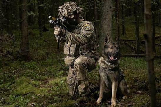 European security strengthened under landmark UK and Estonia agreement