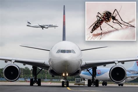 Two Airport Workers Die of Malaria After Mosquito Found on Plane in Germany; Four Others Sickened