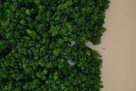 Brazil to Invest $75 Million in Highway Through Amazon, Fueling Deforestation Concerns