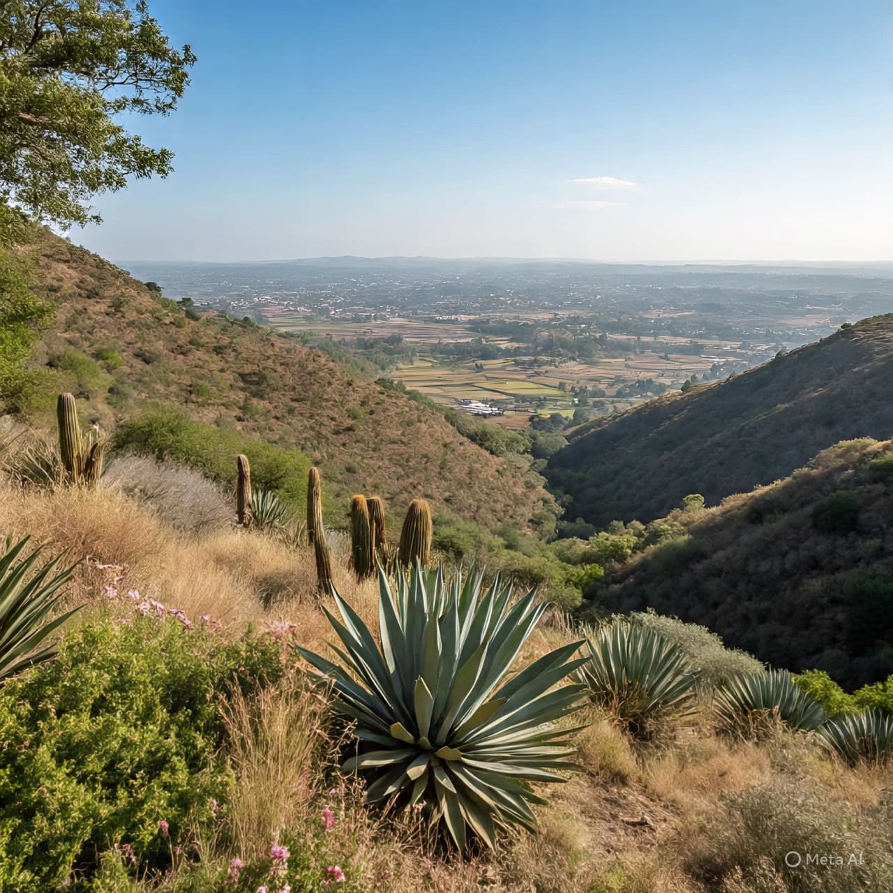 Where the Hills Hold Silence: Searching for the Lost and Found in Sinaloa Where the Hills Hold Silence: Searching for the Lost and Found in Sinaloa