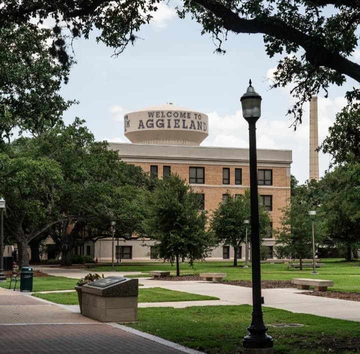 Texas A&M Issues Warning to Professor Against Teaching Plato Under New Curriculum Restrictions Texas A&M Issues Warning to Professor Against Teaching Plato Under New Curriculum Restrictions