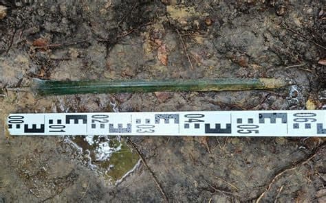 2,700-Year-Old Bronze Age Sword Found Standing Upright in Polish Forest Near Gdańsk May Be a Ritual Offering 2,700-Year-Old Bronze Age Sword Found Standing Upright in Polish Forest Near Gdańsk May Be a Ritual Offering