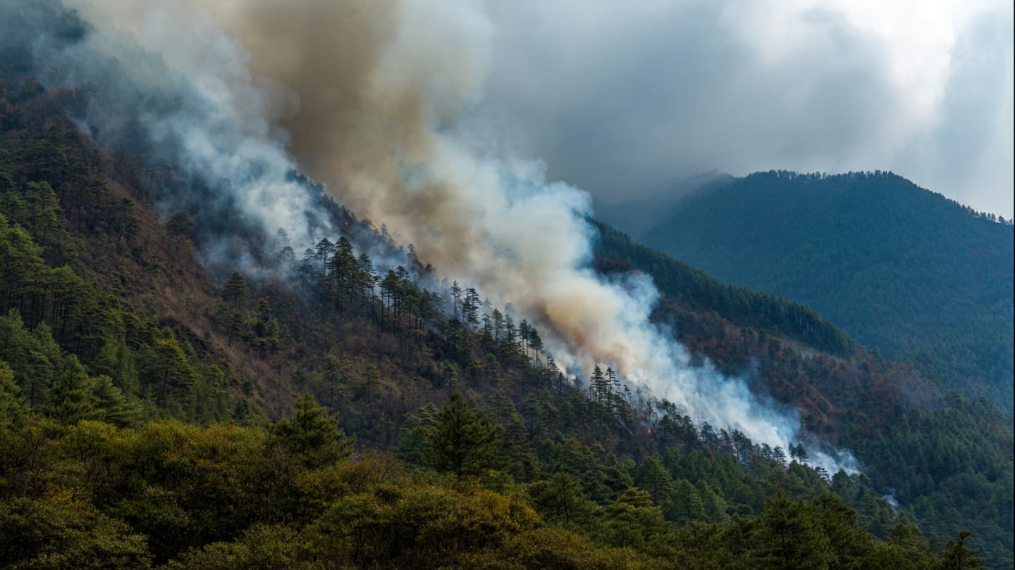 Where Forest Shadows Meet Sudden Firelight, Bhutanese Communities Gather Beneath Darkened Mountain Skies Where Forest Shadows Meet Sudden Firelight, Bhutanese Communities Gather Beneath Darkened Mountain Skies