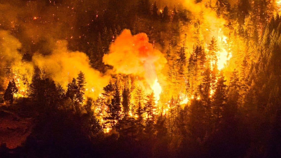 More Than 3,000 Tourists Evacuated as Patagonia Battles Wildfires More Than 3,000 Tourists Evacuated as Patagonia Battles Wildfires