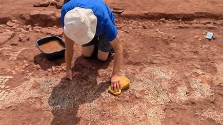 Further Finds Emerge From Halberton Roman Villa, Including Rare Polychrome Mosaic Further Finds Emerge From Halberton Roman Villa, Including Rare Polychrome Mosaic